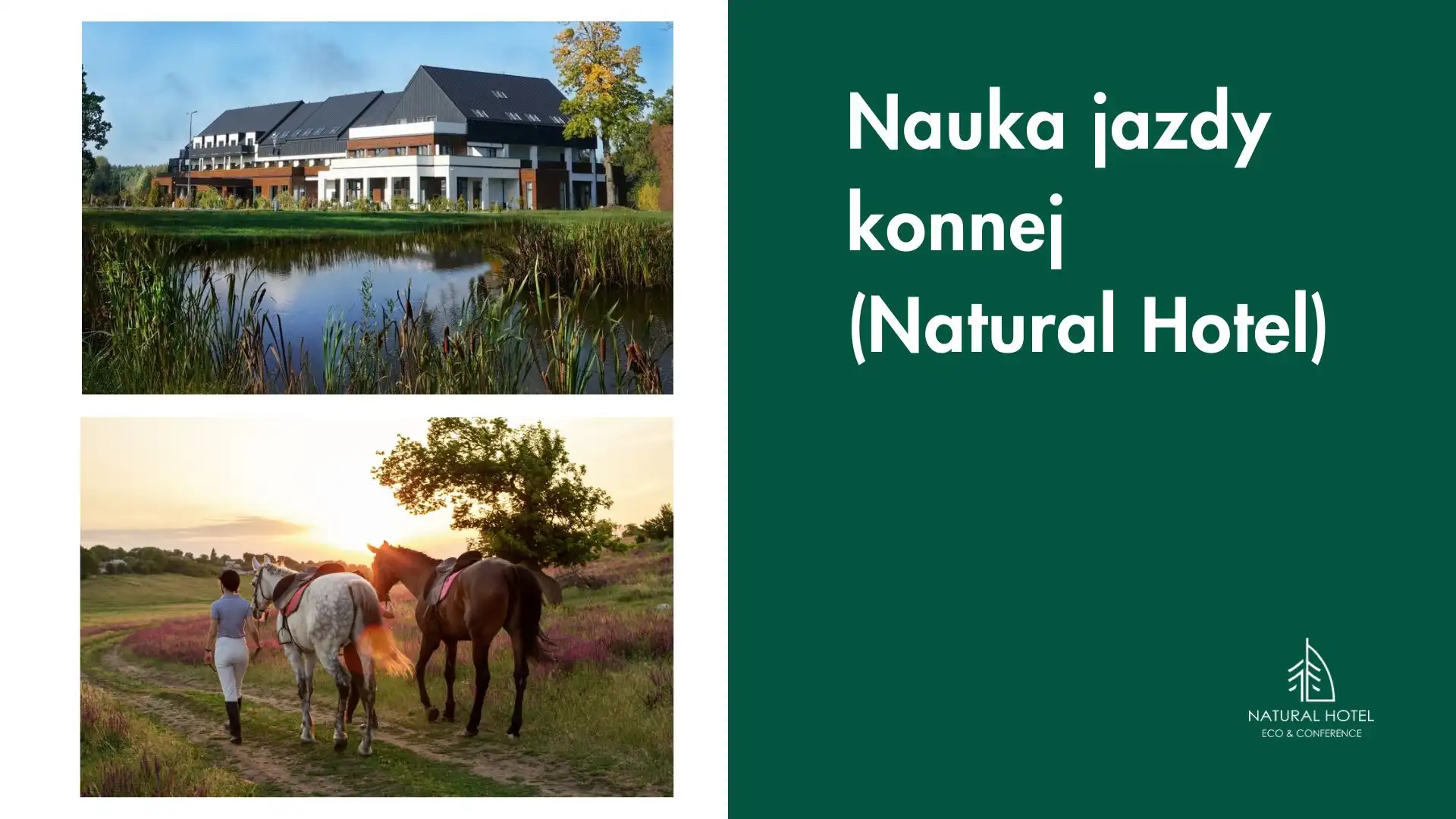 Nauka jazdy konnej
