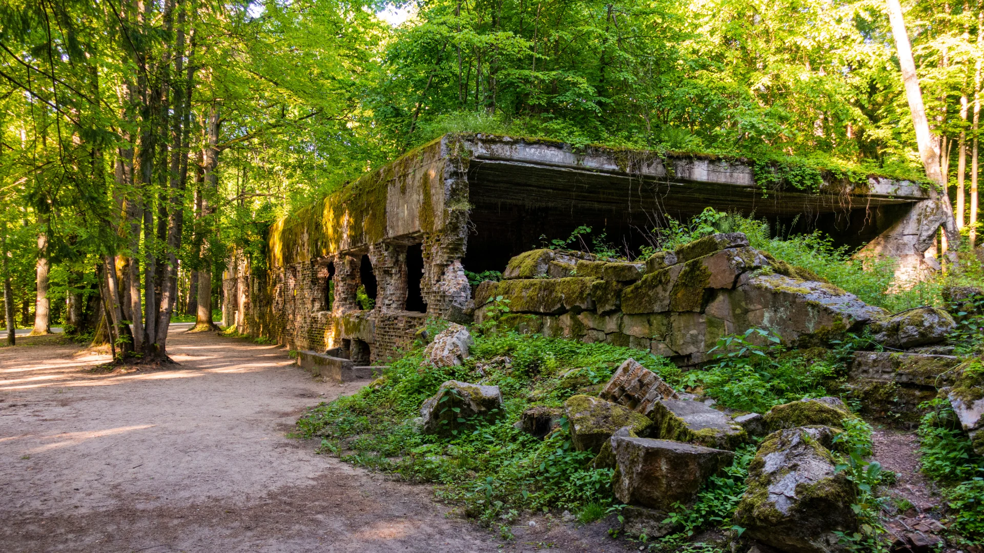 mazury samochodem