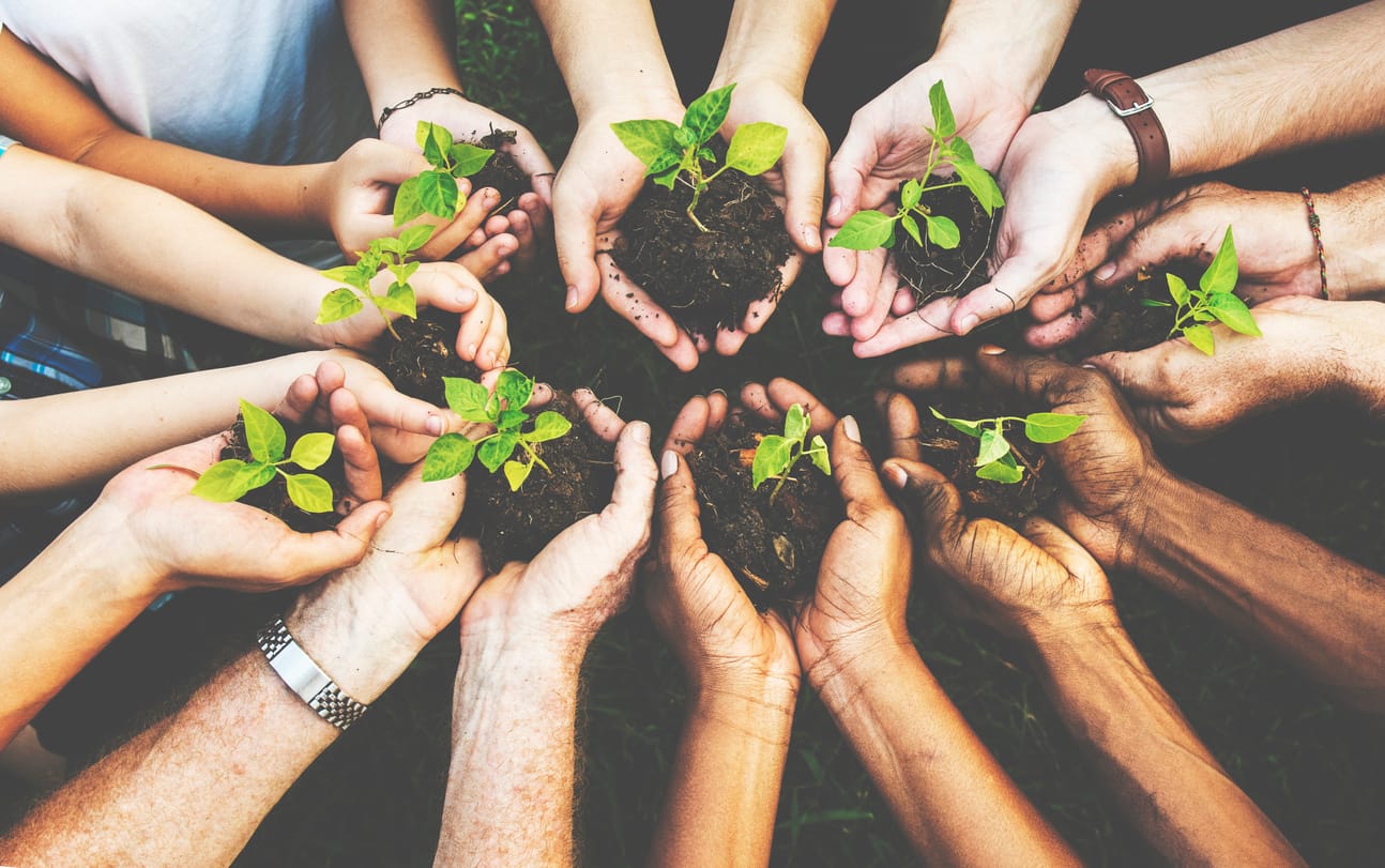 Group of environmental conservation people hands planting in aerial view